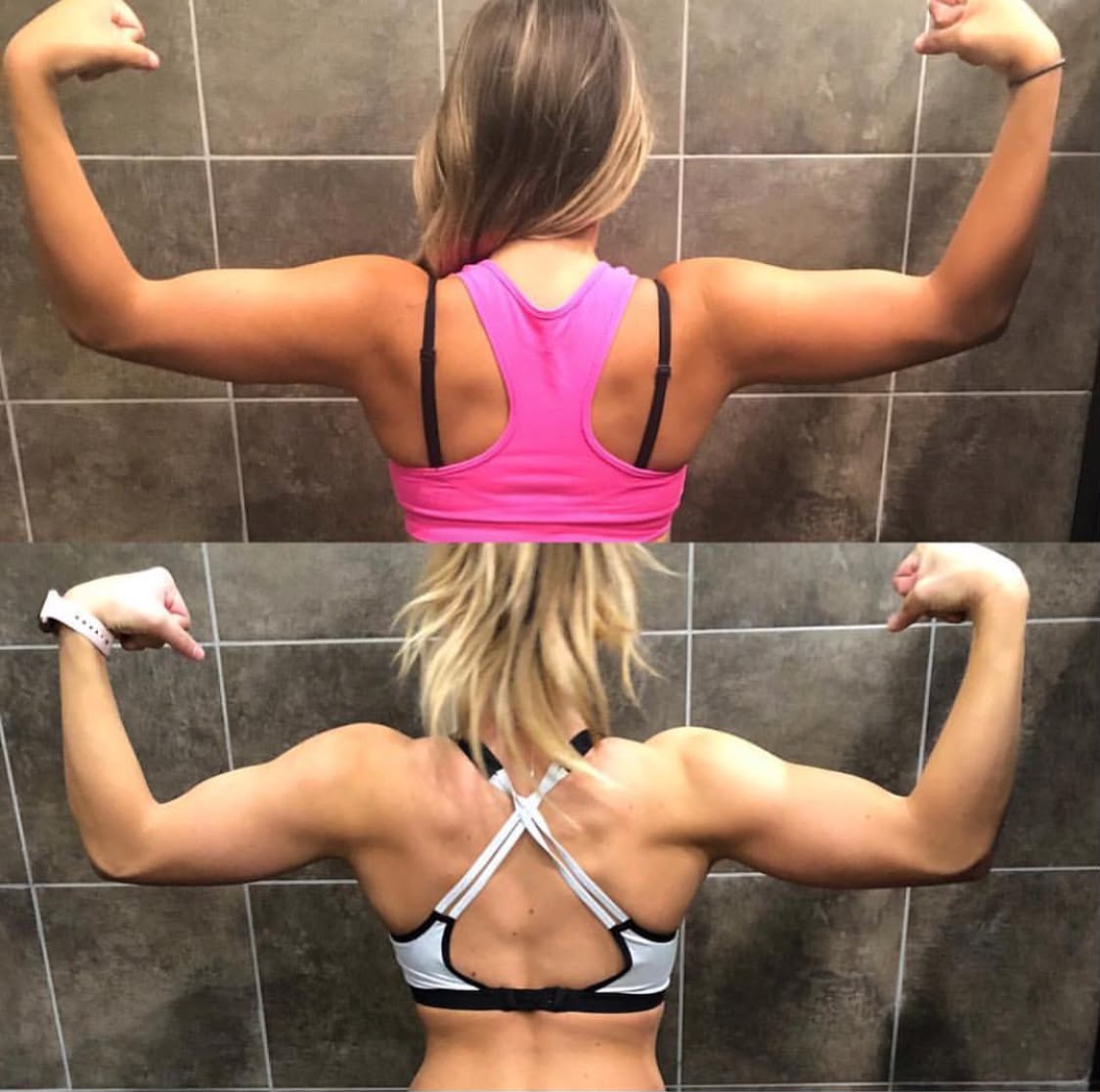 Plantfit member transformation